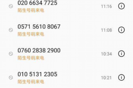 庆元工资清欠服务